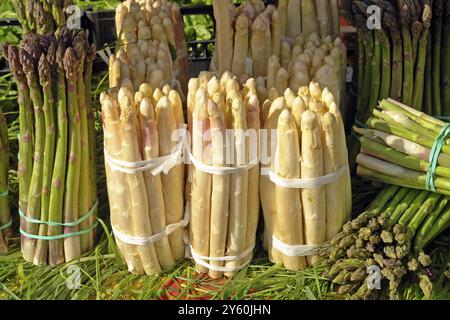 Verdure, asparagi bianchi e verdi, bancarelle di mercato, Venezia, Italia, Europa Foto Stock