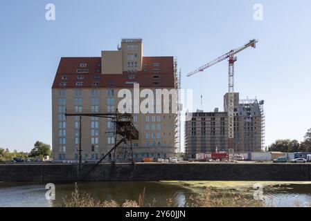 Vecchio silo, magazzino, gru di fronte, porto della scienza di Magdeburgo, Sassonia-Anhalt, Germania, Europa Foto Stock