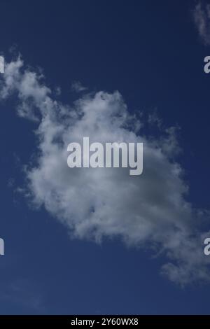 Guardando una grande, soffice e bianca nuvola di cumulus in un cielo azzurro brillante, in una giornata estiva nel Wisconsin Foto Stock