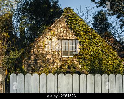 Un'accattivante immagine di un rustico cottage in pietra avvolto in vibrante edera verde. La calda luce del sole filtra tra gli alberi circostanti, creando un ambiente sereno Foto Stock