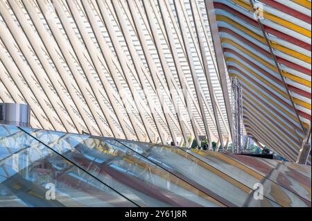 Liegi, Belgio, 10 agosto 2024 - motivi astratti colorati del soffitto della stazione ferroviaria Foto Stock