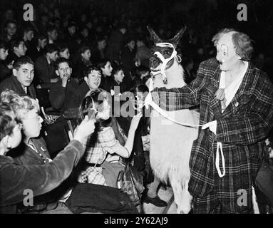 12.000 studenti fortunati hanno avuto un regalo di Natale oggi, quando hanno partecipato a due prove del famoso circo Bertram Mills a Olympia. Organizzato dal giornale "Star", in collaborazione con Cyril e Bernard Mills, lo spettacolo ha portato a molti bambini più poveri, alcuni provenienti da case e istituzioni, che probabilmente saranno la loro unica uscita di Natale. Spettacoli fotografici: Alcuni dei bambini erano un po' preoccupati quando Coco, un celebre Augusta, portò uno dei lama in giro per essere presentato oggi alla prova generale del circo. 18 dicembre 1947 Foto Stock