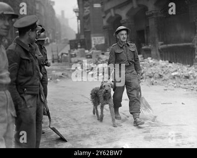 Un membro dell'Auxiliary Military Pioneer Corps rilascia un cane dai detriti del raid aereo e prevede di dargli cibo. 29 ottobre 1940 Foto Stock