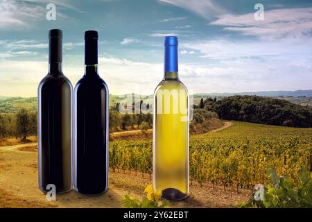 Panorama delle colline toscane in Italia con vigneto e, in primo piano, bottiglie di vino di produzione locale. Foto Stock