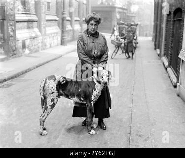 L'onorevole Gabrielle Borthwick e il suo grande danese. Fuori dalla sua scuola di motori e ingegneria a Piccadilly, Londra. 23 settembre 1923 Foto Stock