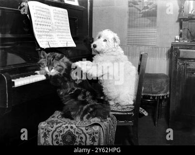 Cane e gatto che suonano il piano. 3 marzo 1932 Foto Stock