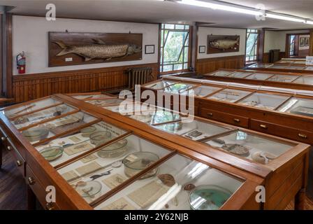 Wagner Free Institute of Science nel nord di Philadelphia, Pennsylvania Foto Stock