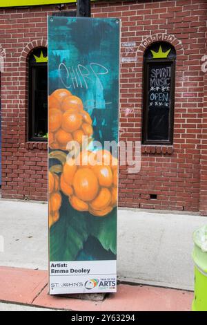 Murale Year of the Arts di frutti di bosco in Water Street nel centro di St. John's, Newfoundland & Labrador, Canada Foto Stock