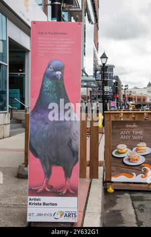 Year of the Arts murales of Pigeons in Water Street nel centro di St. John's, Newfoundland & Labrador, Canada Foto Stock