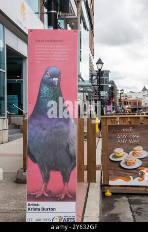 Year of the Arts murales of Pigeons in Water Street nel centro di St. John's, Newfoundland & Labrador, Canada Foto Stock