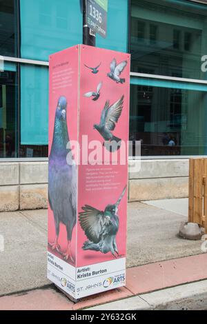 Year of the Arts murales of Pigeons in Water Street nel centro di St. John's, Newfoundland & Labrador, Canada Foto Stock