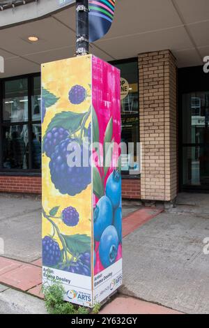 Murale Year of the Arts di frutti di bosco in Water Street nel centro di St. John's, Newfoundland & Labrador, Canada Foto Stock