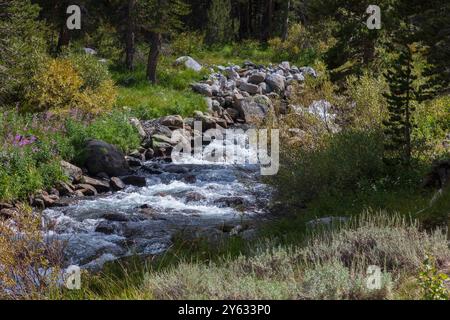 L'escursione al Rock Creek inizia dal sentiero Mosquito Flats, con un altifude di 10.300 metri nella Sierra orientale - Inyo National Forest, California Foto Stock