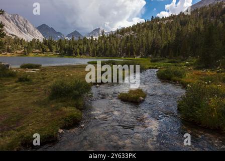 L'escursione al Rock Creek inizia dal sentiero Mosquito Flats, con un'altitudine di 10.300 metri nella Sierra orientale - Inyo National Forest, California Foto Stock