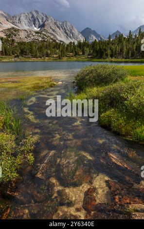 L'escursione al Rock Creek inizia dal sentiero Mosquito Flats, con un'altitudine di 10.300 metri nella Sierra orientale - Inyo National Forest, California Foto Stock