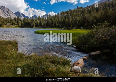 L'escursione al Rock Creek inizia dal sentiero Mosquito Flats, con un'altitudine di 10.300 metri nella Sierra orientale - Inyo National Forest, California Foto Stock