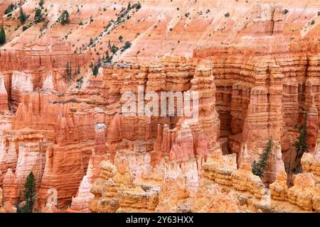 Bryce Canyon National Park, Utah: Incredibili formazioni di arenaria di colore rosso e arancione chiamate Hoodoos sono il risultato dell'erosione naturale. Foto Stock