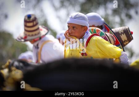 Catturando l'intensità di una tradizionale Tbourida marocchina, nota anche come Fantasia, dove abili cavalieri galoppo in formazione e fucili da fuoco. Foto Stock