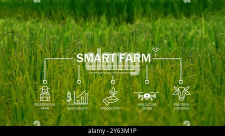 La tecnologia delle aziende agricole intelligenti incontra le competenze agricole. La gestione precisa del bestiame e i droni per l'agricoltura migliorano la produttività. Moderna pratica agricola Foto Stock