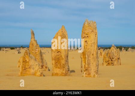 I Pinnacoli sono formazioni calcaree nel Nambung National Park, vicino alla città di Cervantes, Australia Occidentale. Foto Stock