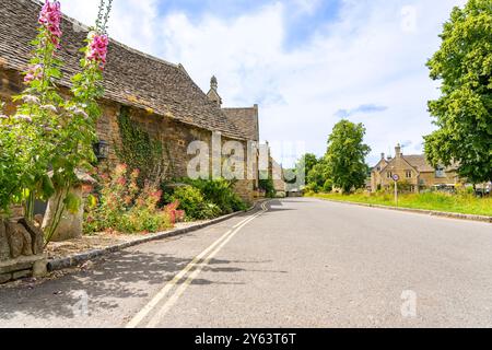 Case di pietra e fiori selvatici fiancheggiano la strada di campagna attraverso un piccolo villaggio nelle Cotswolds, Regno Unito. Foto Stock