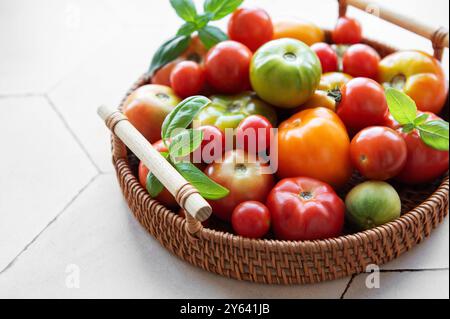 Un'abbondante collezione di pomodori colorati riempie un cesto intrecciato, caratterizzato da varie dimensioni e sfumature che si appoggiano su un ripiano della cucina a fine estate Foto Stock