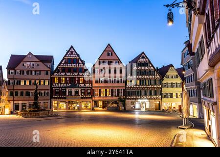 Foto notturna della piazza del mercato e della storica fontana nella città vecchia di Tübingen, in Germania Foto Stock