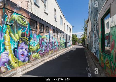 Foto generali di Newtown, Sydney che mostrano murales di Street art, Sydney. Foto Stock