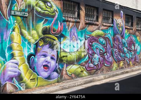 Foto generali di Newtown, Sydney che mostrano murales di Street art, Sydney. Foto Stock