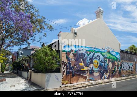 Foto generali di Newtown, Sydney che mostrano murales di Street art, Sydney. Foto Stock