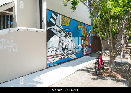 Foto generali di Newtown, Sydney che mostrano murales di Street art, Sydney. Foto Stock