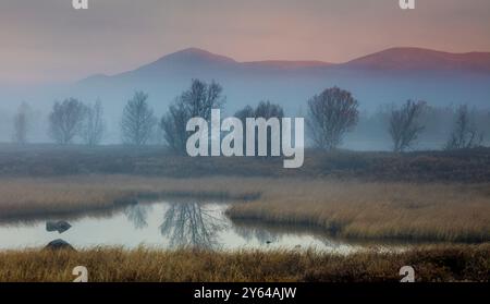 Nebbia mattutina di inizio autunno sulle paludi e le zone umide della riserva naturale di Fokstumyra, Dovre, Innlandet Fylke, Norvegia, Scandinavia. Foto Stock