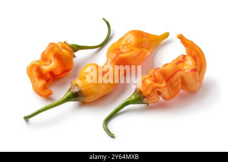 Tre peperoni Stripy freschi con zucchero crudo da vicino isolati su sfondo bianco Foto Stock