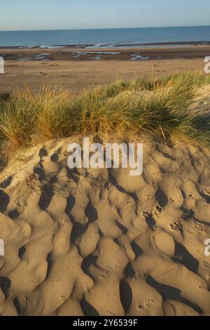 Inghilterra, Kent e East Sussex, Camber Sands Foto Stock