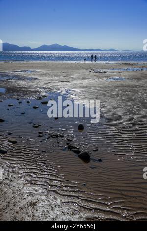 Isola di Llanddwyn. Una coppia che cammina con il cane sulla spiaggia di Traeth Llanddwyn o Llanddwyn sull'isola di Anglesey nel Galles del Nord. Foto Stock