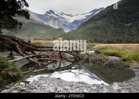 I ghiacciai del Monte aspirante visti dalle rive del fiume Wanaka Foto Stock