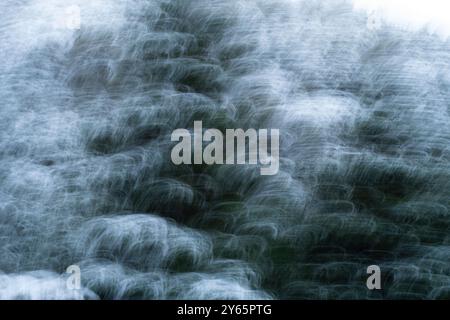 Immagine astratta che cattura l'effetto sfocato di una foresta innevata in inverno la sfocatura in movimento crea un'impressione dinamica e artistica della natura Foto Stock