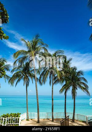 Un tranquillo scenario balneare a Varadero, Cuba, caratterizzato da torreggianti palme e un oceano blu cristallino sotto cieli vibranti, perfetto per le loro vacanze Foto Stock