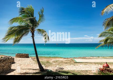 Una tranquilla spiaggia a Varadero, Cuba, caratterizzata da palme che ondeggiano su acque cristalline turchesi, il cielo azzurro e il mare calmo lo rendono questo Foto Stock