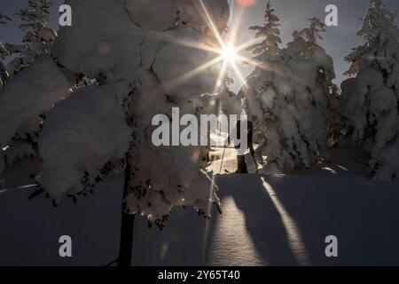 Una splendida scena invernale cattura un'esplosione di sole attraverso gli alberi carichi di neve a Niseko, Hokkaido, in Giappone, Una figura solitaria cammina attraverso le pr Foto Stock