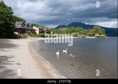 Il sole della tarda estate sulla baia del villaggio di Luss sulle rive del lago Lomond. Foto Stock