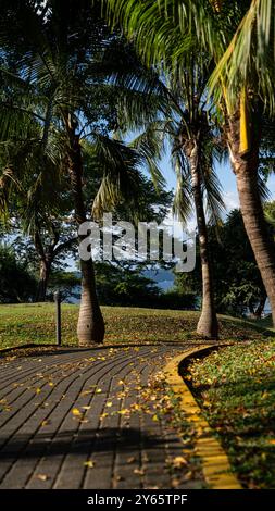 Una tranquilla passerella fiancheggiata da eleganti palme conduce attraverso il lussureggiante paesaggio del Golfo di Papagayo in Costa Rica. Foto Stock