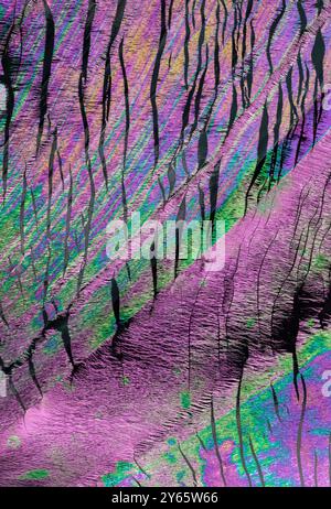 Un'immagine astratta e digitalmente alterata della corteccia degli alberi con vivaci tonalità viola e verde che creano un'impressione di foresta fantasy. Foto Stock