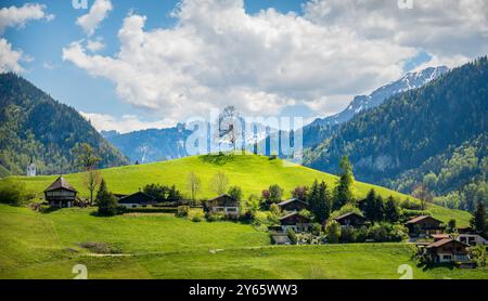 Tranquillo paesaggio con il villaggio rurale di Jaun, Svizzera, con prati verdi lussureggianti, tradizionali case in legno e pittoresche montagne alpine Foto Stock