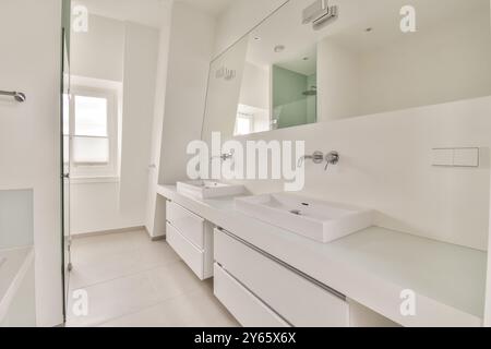 Un bagno pulito e contemporaneo con doppio lavandino con lavandino bianco, grande specchio e doccia in vetro. Foto Stock