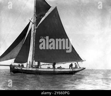 L' apertura della stagione delle ostriche a Whitstable , Kent , Inghilterra . 31 agosto 1916 Foto Stock