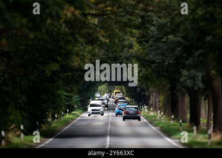 Autos fahren auf einer Landstraße bei Köln. für die Berechnung der Pendlerpauschale gilt seit dem 01. Januar 2022 ein Betrag von 0,30 Euro pro chilometro. AB dem 21. Chilometro dorato a Betrag von 0,38 euro. Themenbild, Symbolbild Köln, 24.09.2024 NRW Deutschland *** Auto che viaggiano su una strada di campagna vicino a Colonia dal 1 gennaio 2022, un importo di 0,30 euro per chilometro è stato utilizzato per calcolare l'indennità per pendolari dal 21° chilometro, un importo di 0,38 euro si applica immagine a tema, immagine simbolica Colonia, 24 09 2024 NRW Germania Copyright: XChristophxHardtx Foto Stock