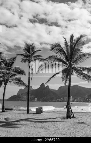 Rio de janeiro, Brasile. La spiaggia di Leblon e la collina di Dois Irmãos sono visibili da piazza Millor ad Arpoador con le palme in una giornata di sole. Immagine monocromatica. Foto Stock