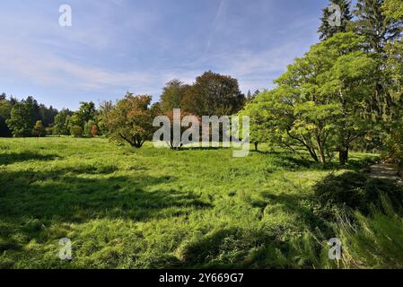 Parco di Pruhonice e complesso del castello, Monumento culturale Nazionale e sito Patrimonio dell'Umanità dell'UNESCO, uno dei parchi più belli di Praga, Republi ceco Foto Stock