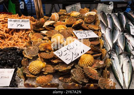 Ostriche, gamberi e sgombri in mostra al mercato del pesce di Rialto nel sestiere di San Polo a Venezia Foto Stock